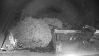 Snímek 8.11.2025 v 01:00