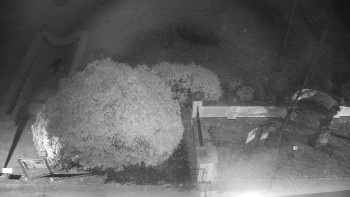 Snímek 8.11.2025 v 02:30