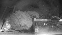 Veselíčko - zahrada u zámku