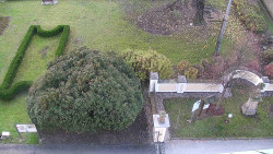 Veselíčko - zahrada u zámku