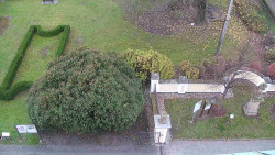 Veselíčko - zahrada u zámku