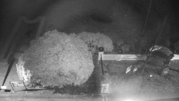 Snímek 8.11.2025 v 22:30