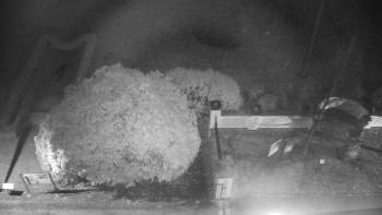 Snímek 8.11.2025 v 23:30