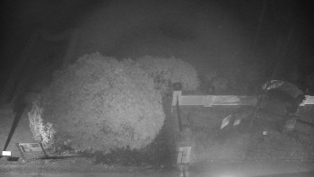 Snímek 9.11.2025 v 01:00