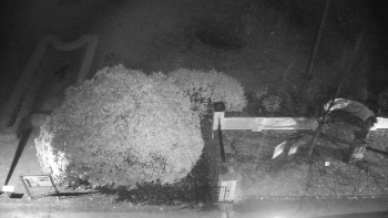 Snímek 9.11.2025 v 04:30