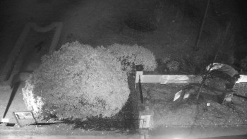 Snímek 9.11.2025 v 05:30