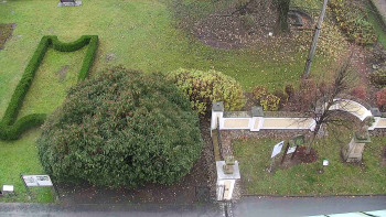 Snímek 9.11.2025 v 07:30