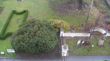 Snímek 9.11.2025 v 12:30