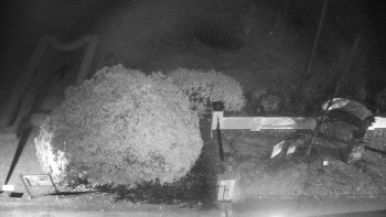 Snímek 9.11.2025 v 19:00