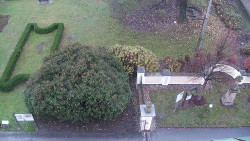 Veselíčko - zahrada u zámku