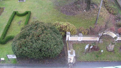 Veselíčko - zahrada u zámku