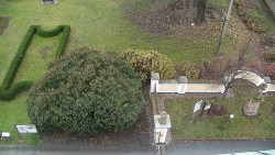 Veselíčko - zahrada u zámku