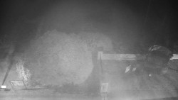 Veselíčko - zahrada u zámku