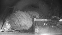 Veselíčko - zahrada u zámku