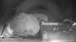 Veselíčko - zahrada u zámku