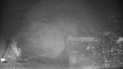 Veselíčko - zahrada u zámku