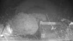 Veselíčko - zahrada u zámku