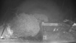 Veselíčko - zahrada u zámku