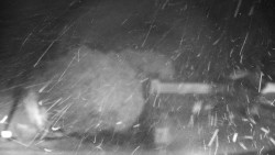 Veselíčko - zahrada u zámku