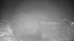 Veselíčko - zahrada u zámku