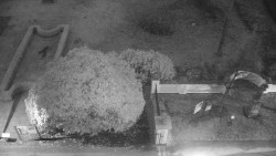 Veselíčko - zahrada u zámku