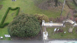 Veselíčko - zahrada u zámku