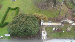 Veselíčko - zahrada u zámku