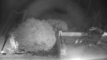 Snímek 14.11.2025 v 02:30