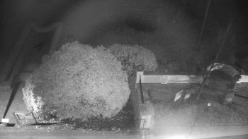 Snímek 14.11.2025 v 03:00