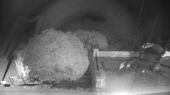 Snímek 14.11.2025 v 03:30