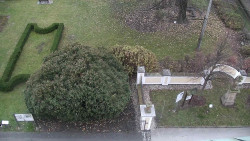 Veselíčko - zahrada u zámku