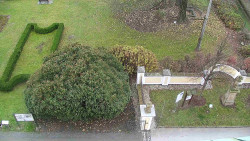 Veselíčko - zahrada u zámku