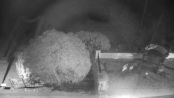 Veselíčko - zahrada u zámku