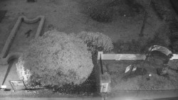 Veselíčko - zahrada u zámku