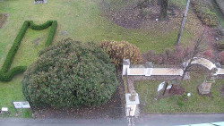 Veselíčko - zahrada u zámku