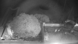 Veselíčko - zahrada u zámku