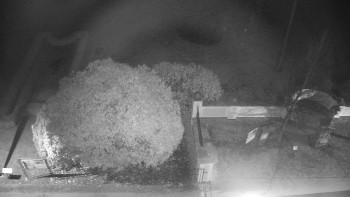 Snímek 16.11.2025 v 03:00