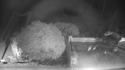 Veselíčko - zahrada u zámku