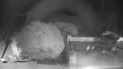 Veselíčko - zahrada u zámku