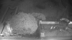 Veselíčko - zahrada u zámku