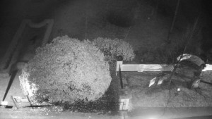 Obec Veselíčko - Veselíčko - zahrada u zámku - 17.11.2025 v 19:00 Obec Veselíčko - Veselíčko - zahrada u zámku - 17.11.2025 v 19:00