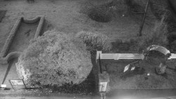 Veselíčko - zahrada u zámku