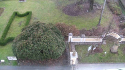 Veselíčko - zahrada u zámku