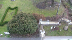 Veselíčko - zahrada u zámku