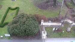 Veselíčko - zahrada u zámku