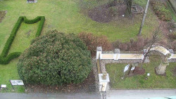 Veselíčko - zahrada u zámku