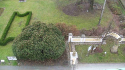 Veselíčko - zahrada u zámku