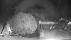 Veselíčko - zahrada u zámku