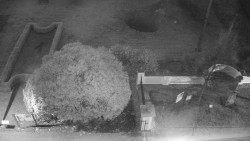 Veselíčko - zahrada u zámku