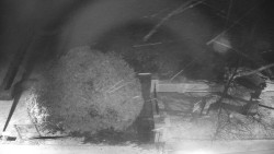 Veselíčko - zahrada u zámku